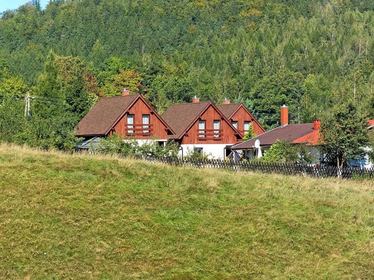 Villa Zacisze Pod Smielcem Jagniątków Exterior foto